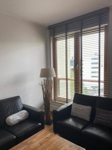 Apartment Olympic Park A403